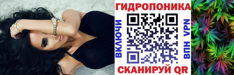 МЕГА онион купить Кудрово Бошки марихуана сатива
